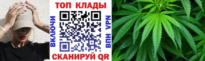 Как найти наркотики Сасово МЕТАДОН  СОЛЬ  Бошки Шишки  КОКАИН  АМФЕТАМИН 