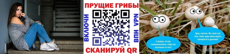 Галлюциногенные грибы ЛСД  MEGA вход  Сасово  где продают наркотики 